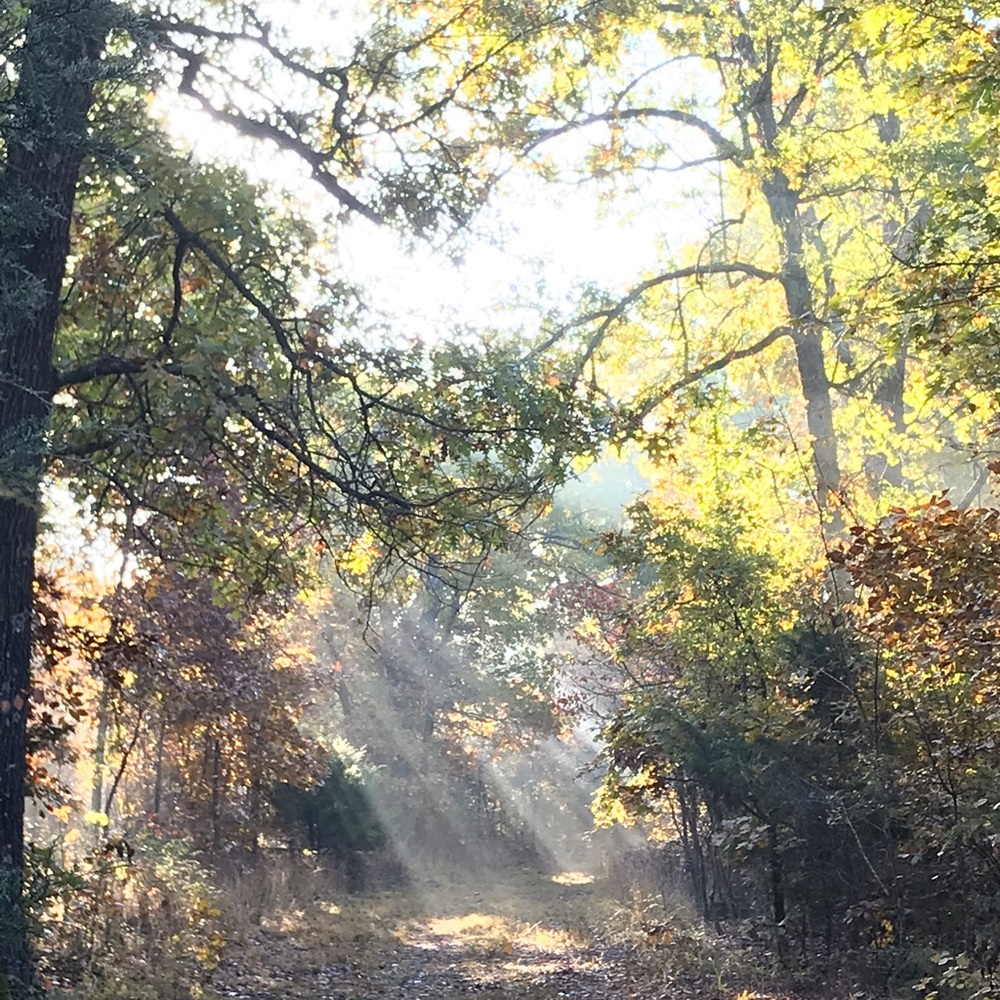 Meet your Posher, Harry